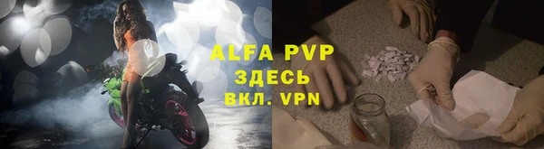 спиды Белокуриха