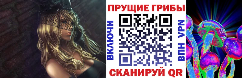 как найти закладки  Красный Кут  Галлюциногенные грибы Psilocybine cubensis 
